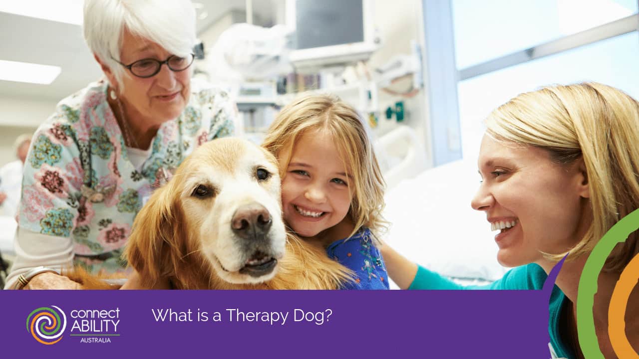 Therapy Dog Awareness Month | Therapy Dog