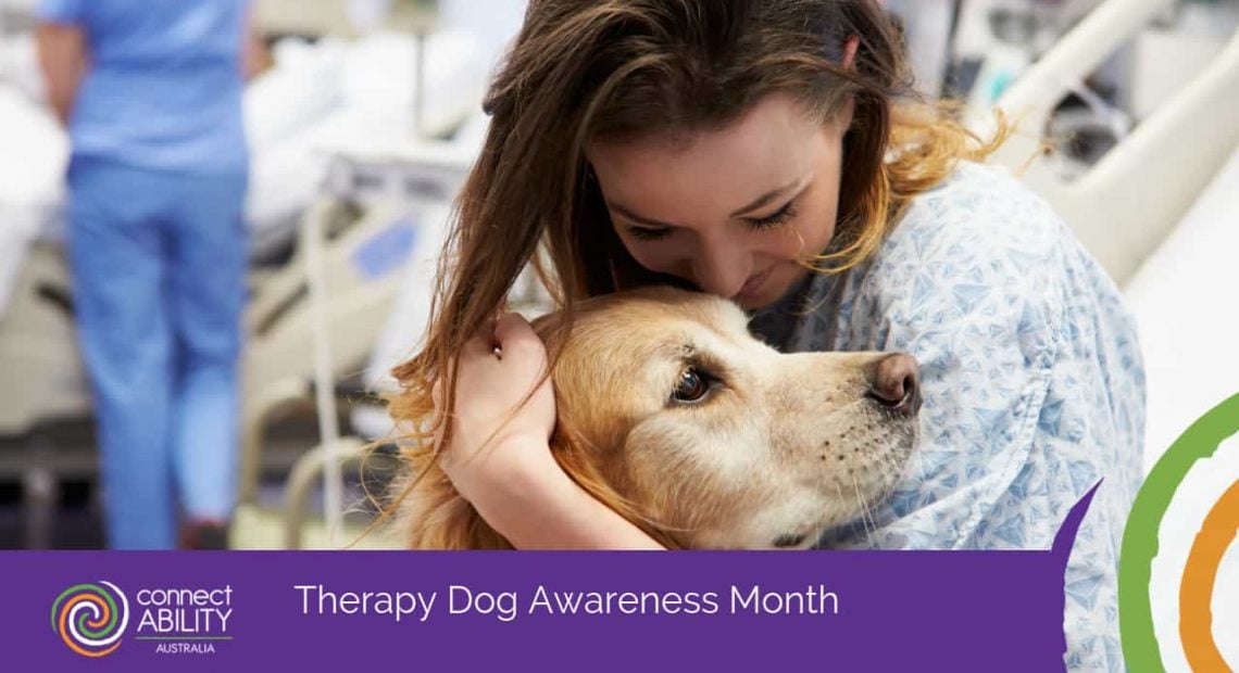 Therapy Dog Awareness Month - ConnectAbility Australia